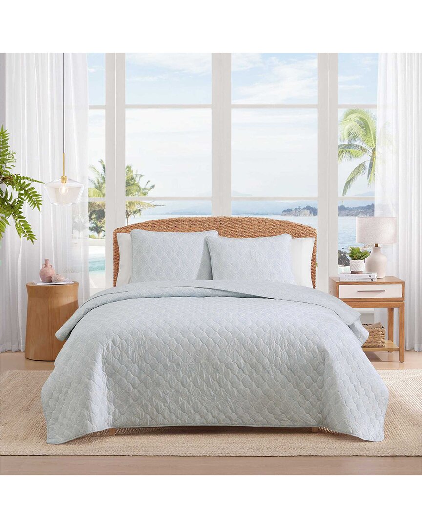 Line Palms Cotton Quilt Set