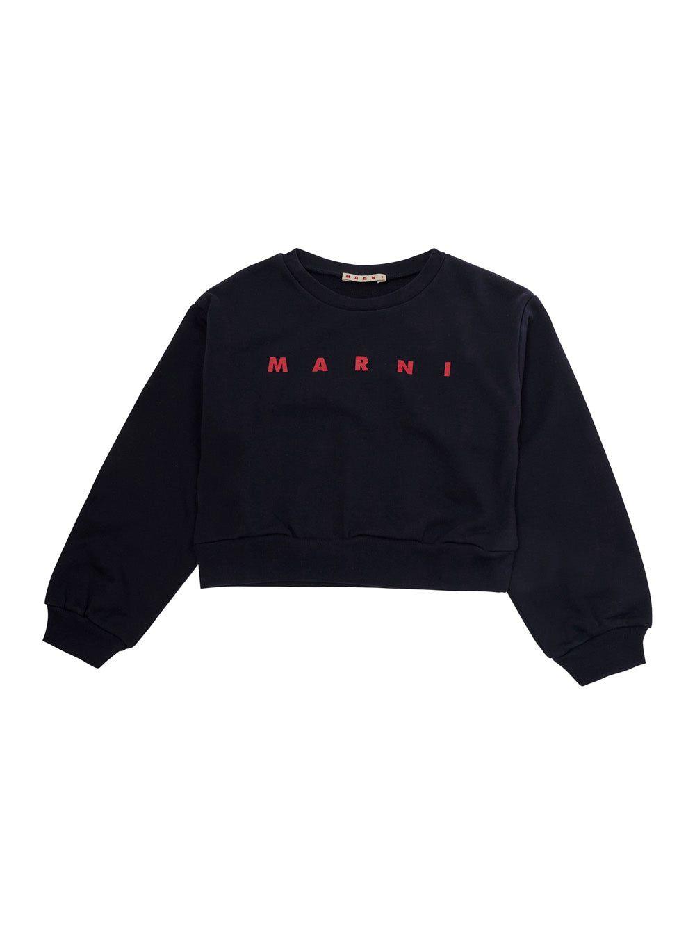 Crewneck Cotton Sweatshirt — Navy