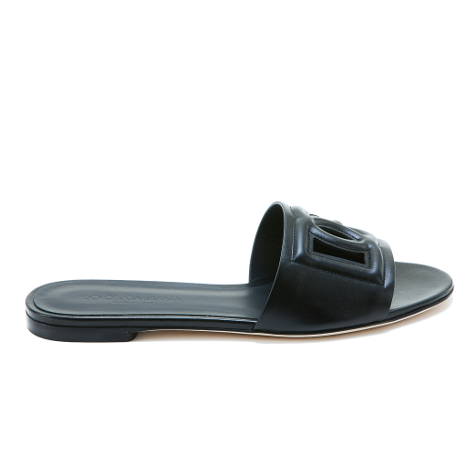 DG Millennials logo slides