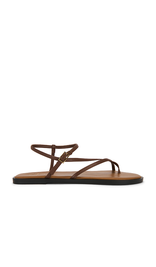 ATP Atelier Capri Sandal in Brown. 36. Also , 38