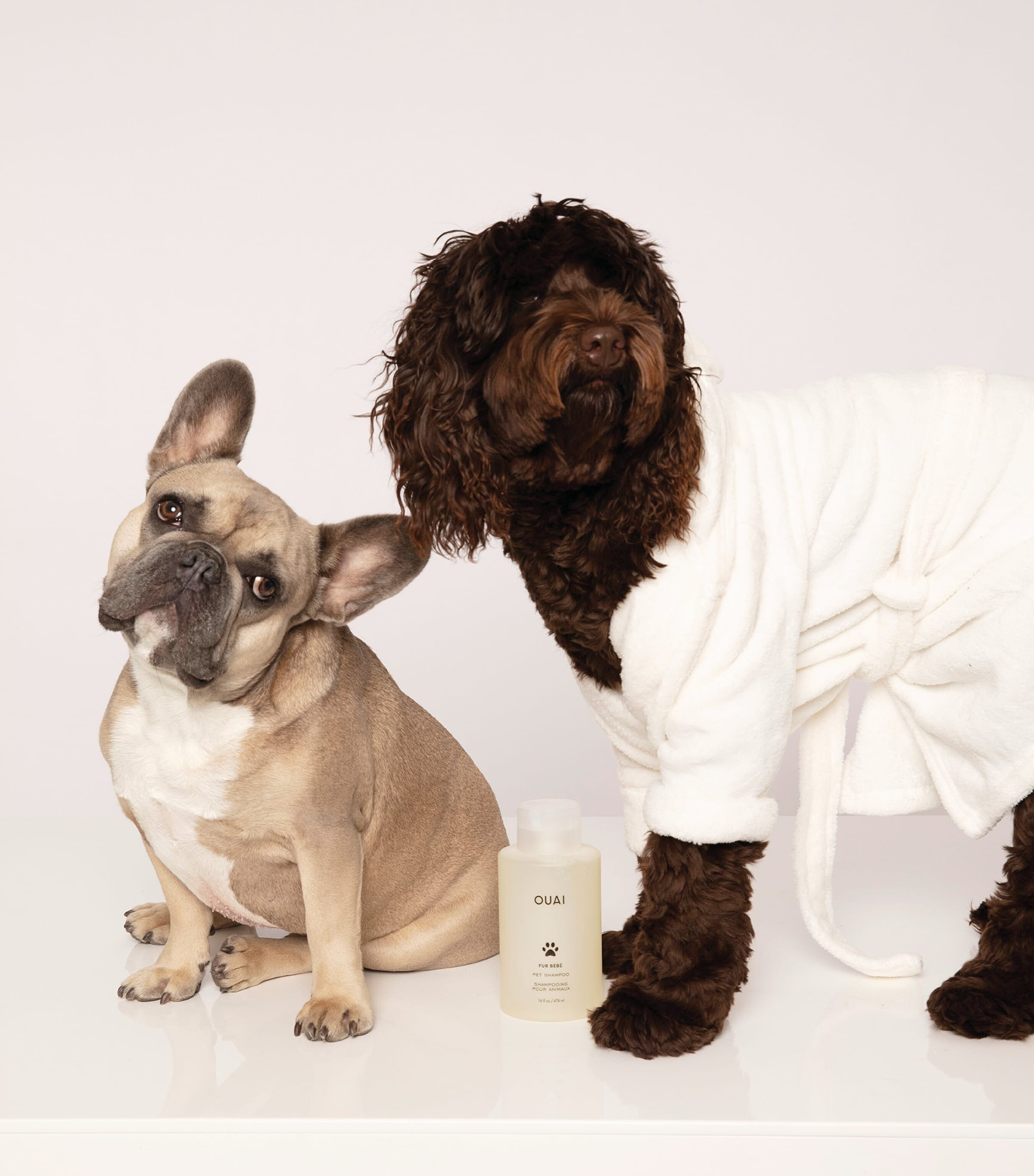 Fur Bébé Pet Shampoo