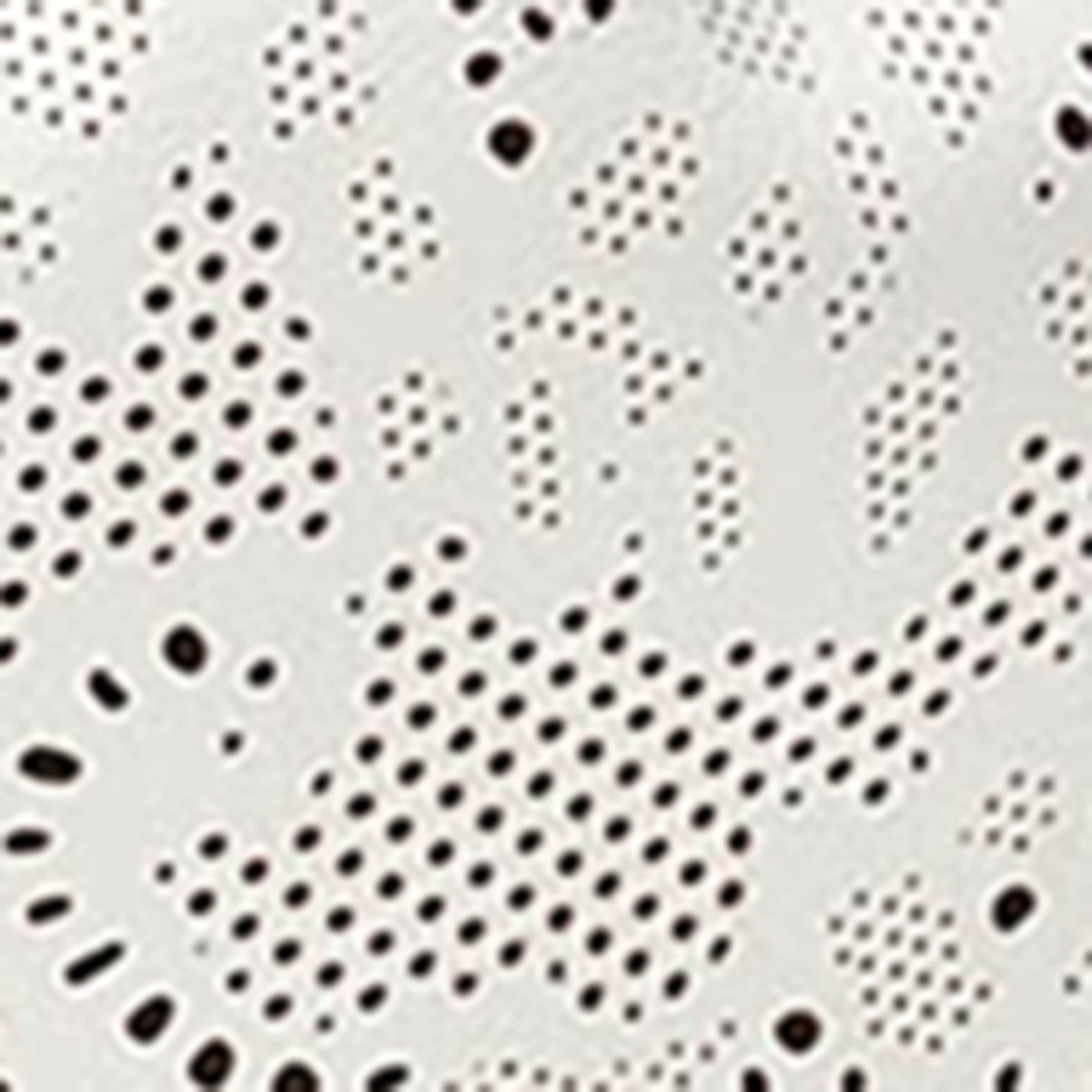 Small Perforated Leather Cinch Shoulder Bag