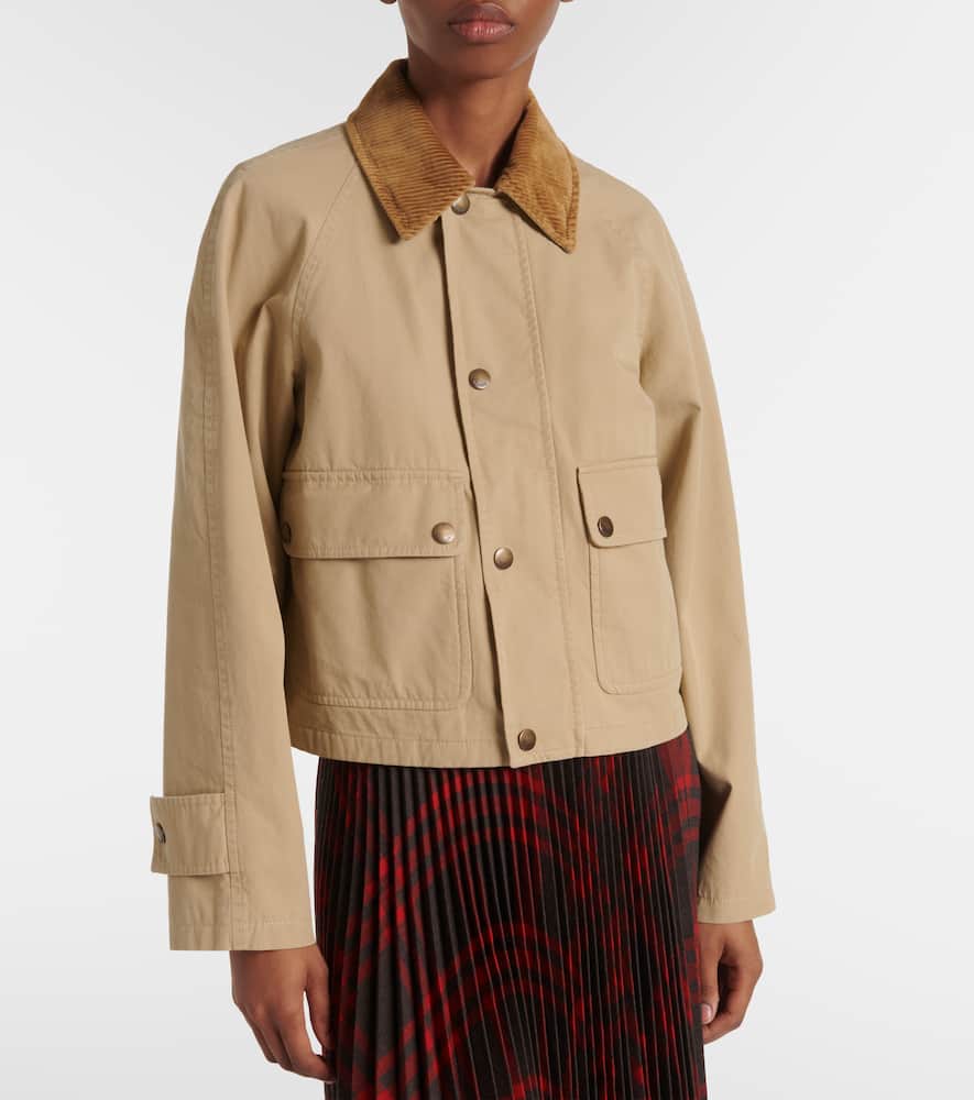 Cotton gabardine jacket