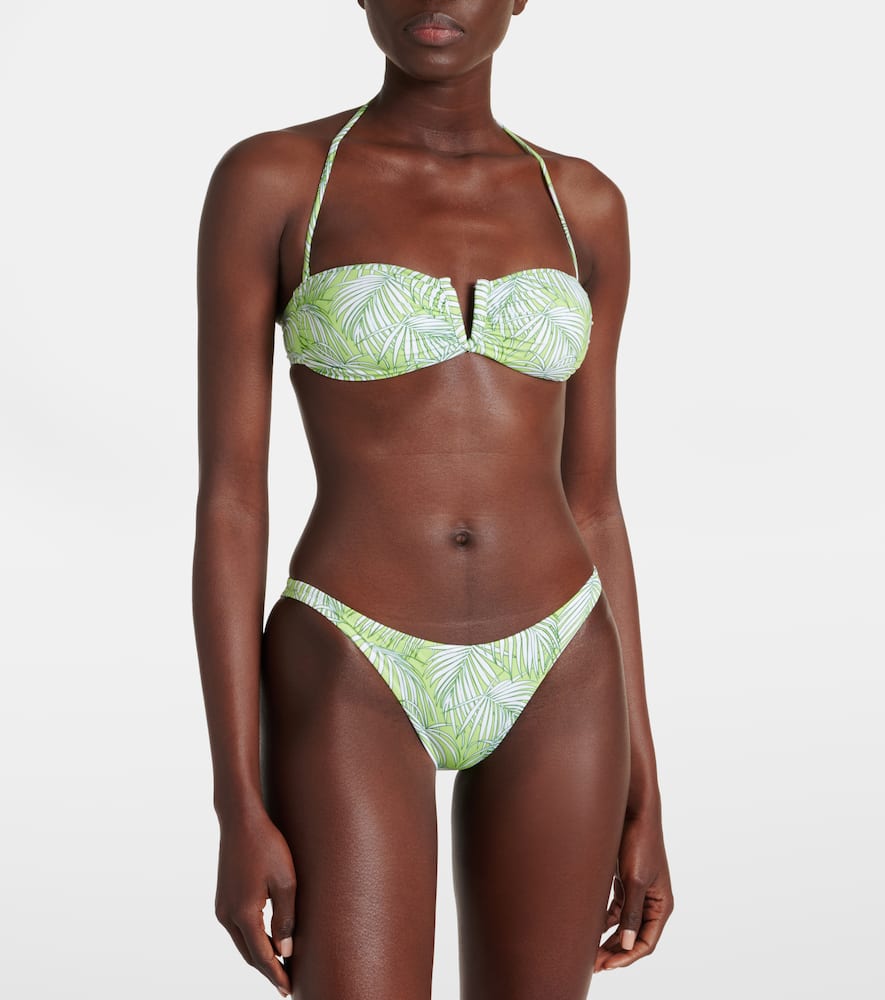 Alba printed bikini bottoms
