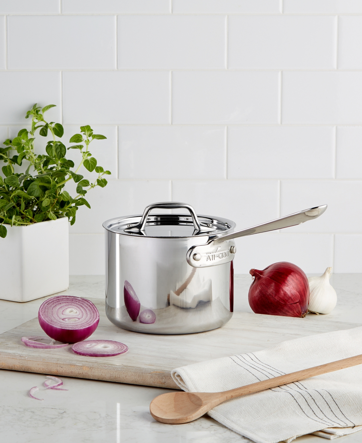 Stainless Steel 2 Qt. Covered Saucepan - STAINLESS