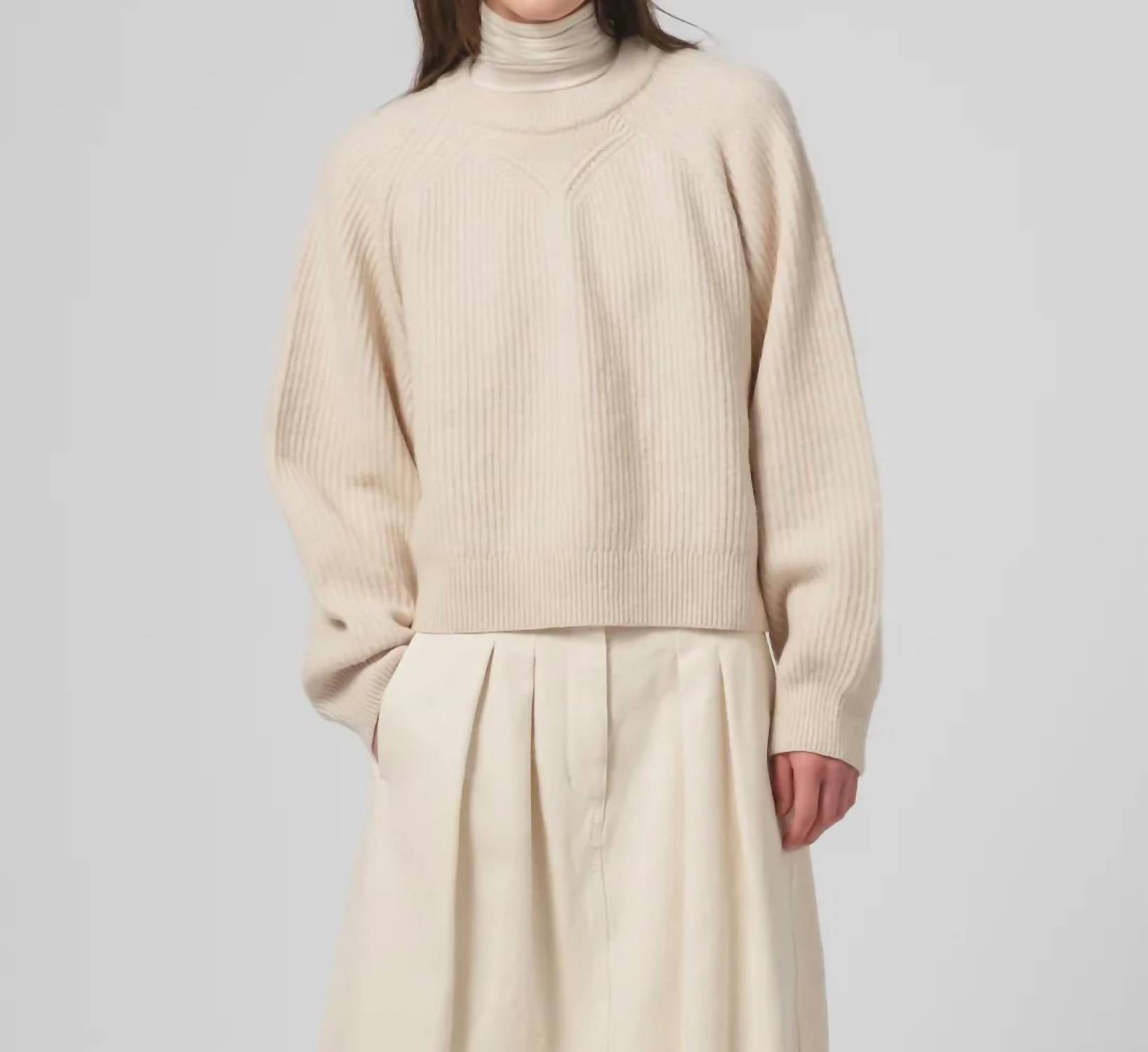 Puddle Crewneck Sweater In Delta Wheat