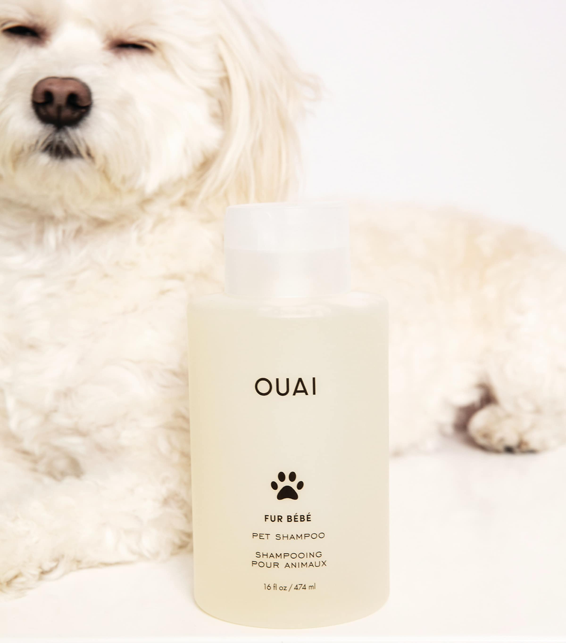 Fur Bébé Pet Shampoo