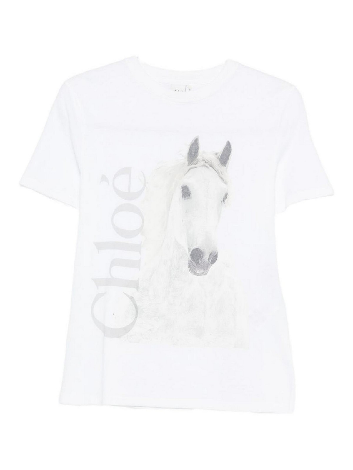 Printed Cotton T-Shirt
