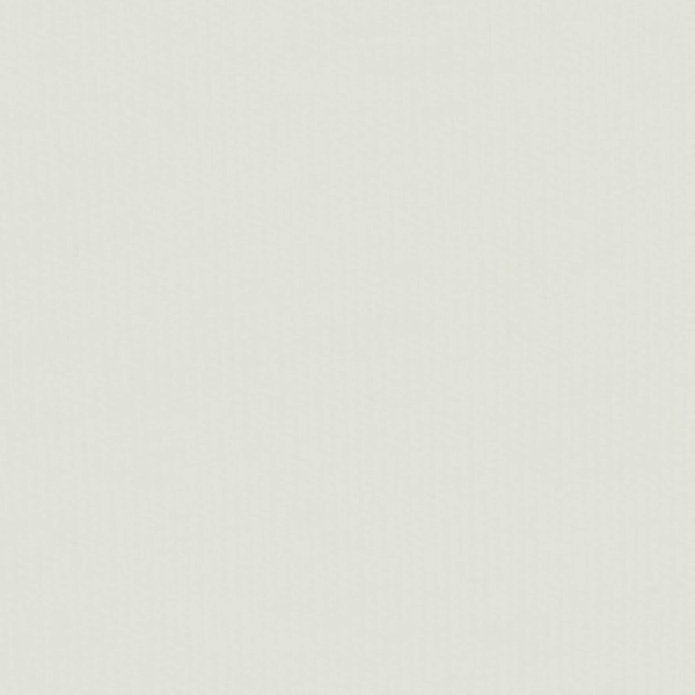 Organic Cotton Adine Shrunken T-Shirt