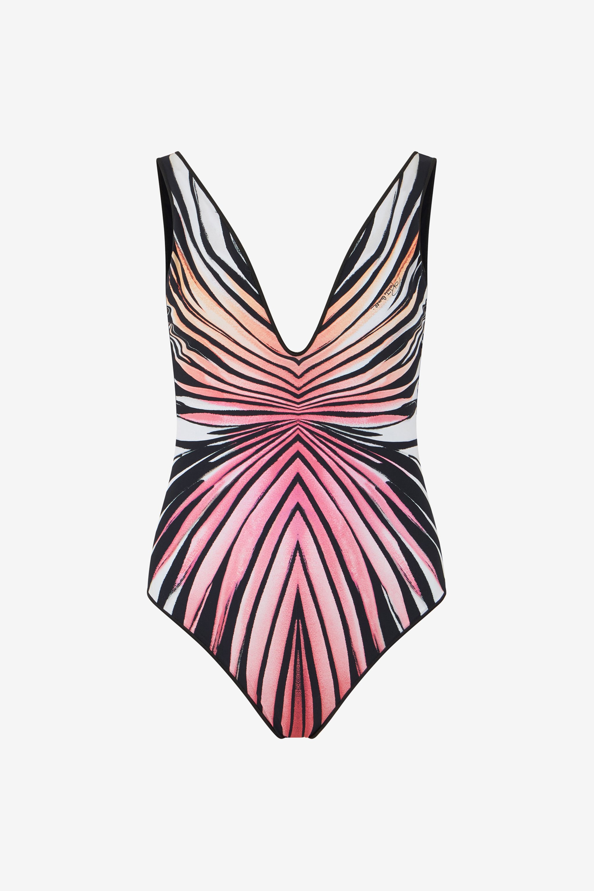 Ray Of Paradise Print Swimsuit