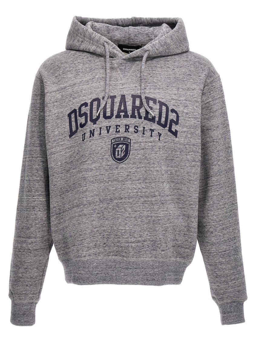 University Cool Hoodie In Grey