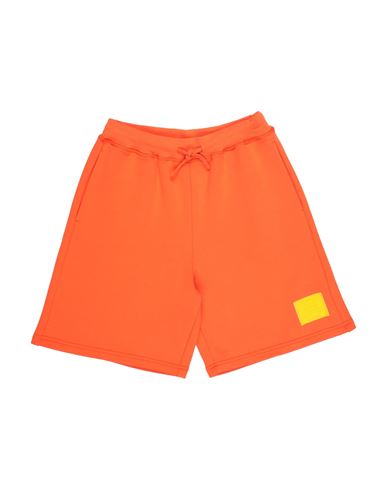 Kid Boy Shorts & Bermuda Shorts Orange Size 14 Cotton, Elastane