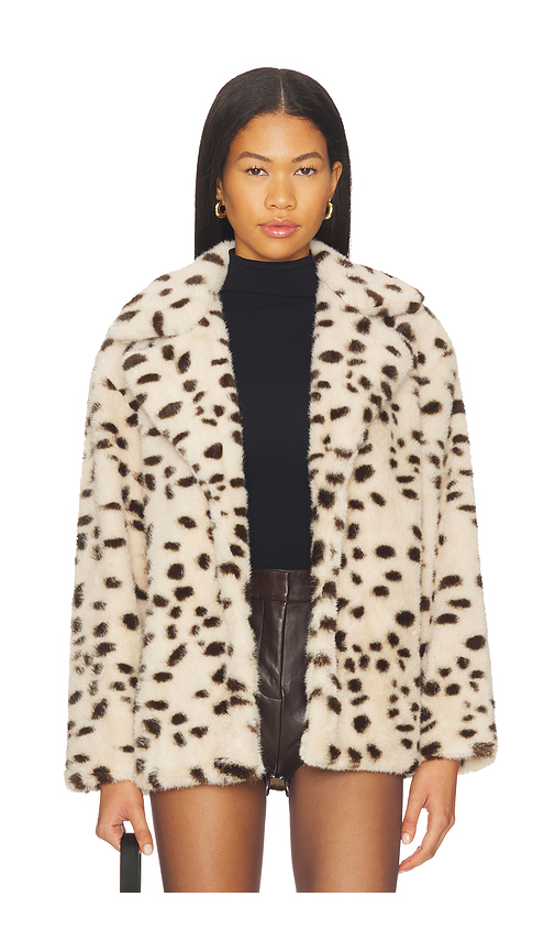 BLANKNYC Teddy Coat in Cool Cat. S also in L