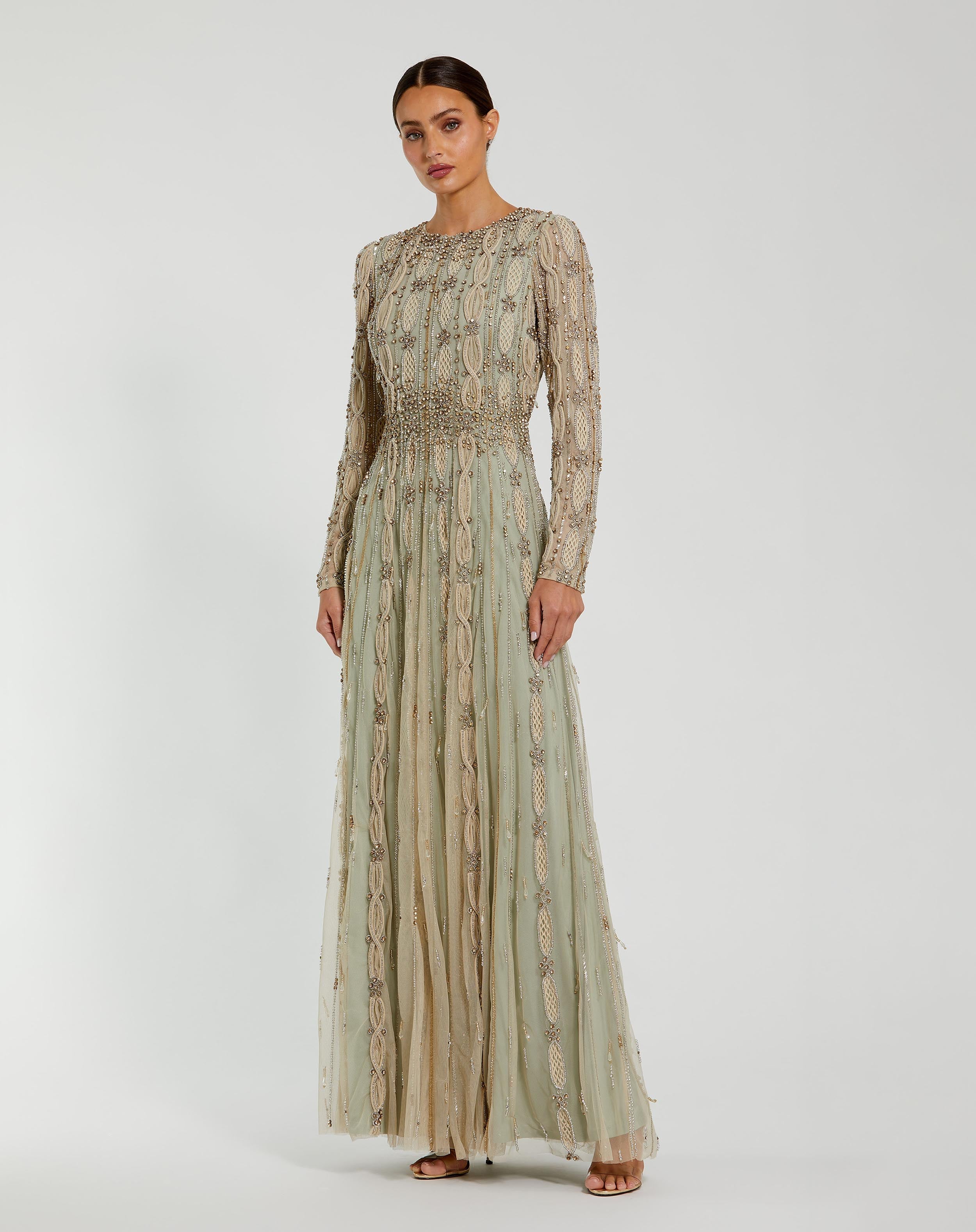 Green Embellished Mesh Long Sleeve A Line Maxi Gown In Sand Sage Green