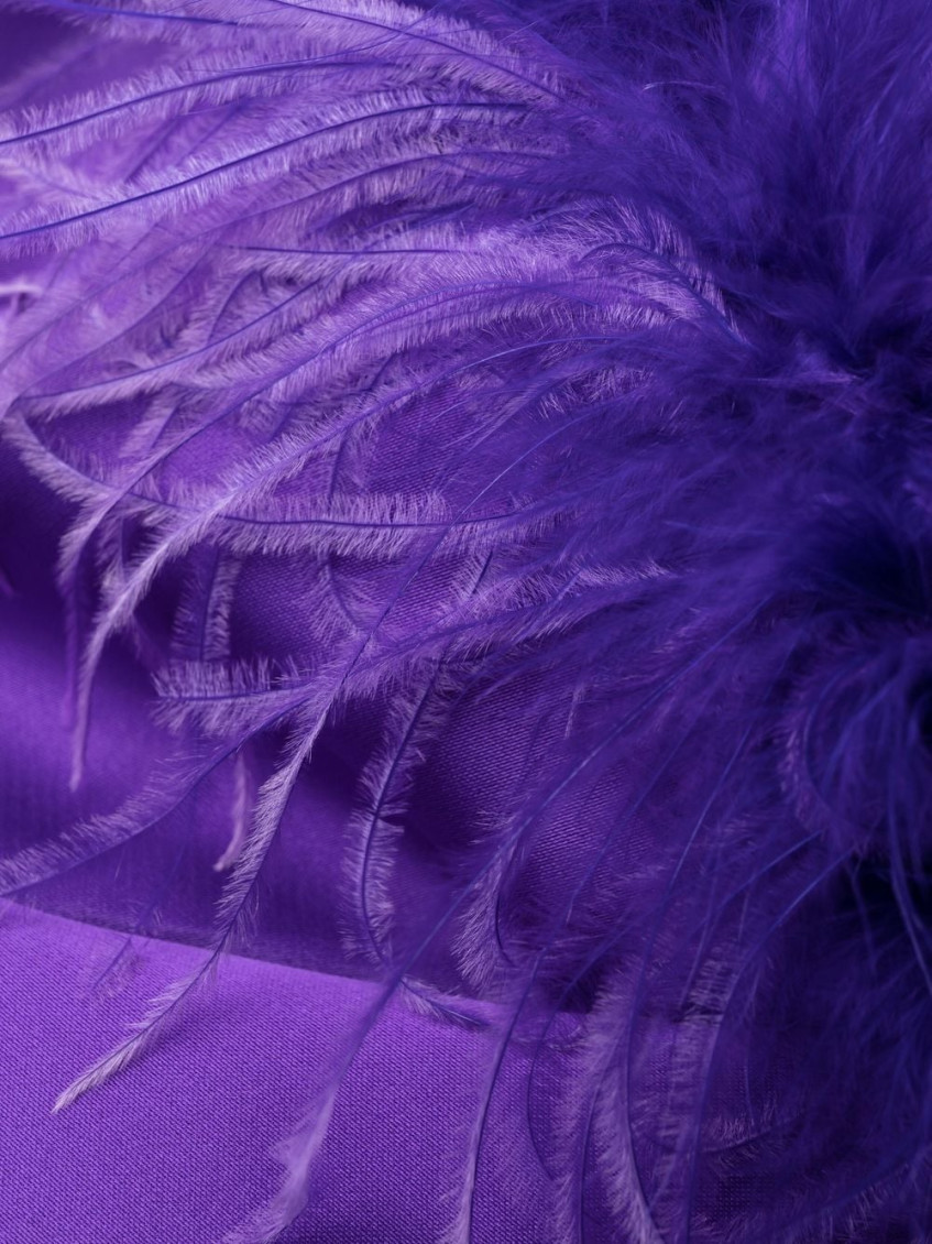 - Feathered Mini Dress