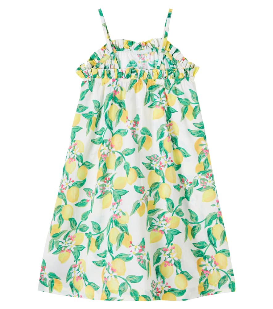 Connie printed cotton dress