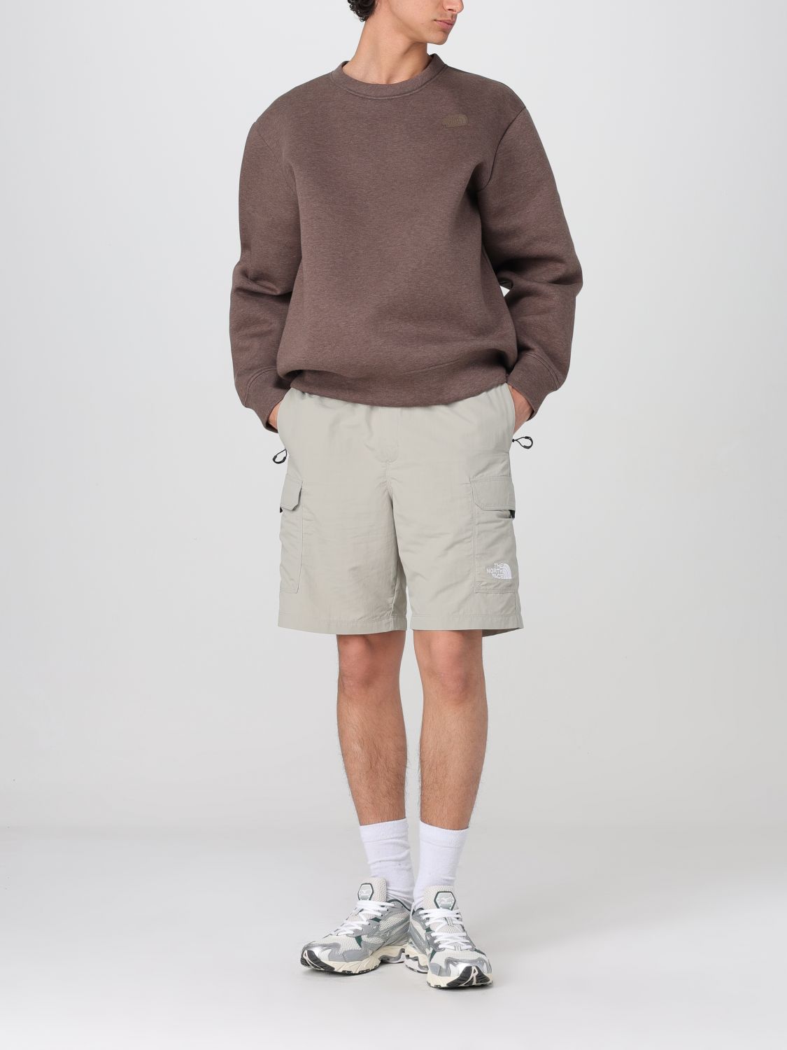 Sweatshirt THE NORTH FACE Men color Brown