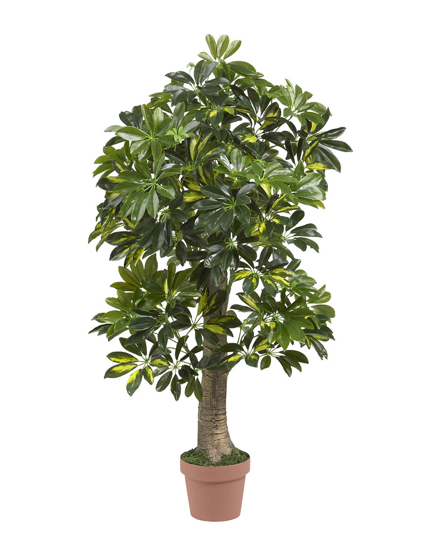 4ft Schefflera Silk Tree