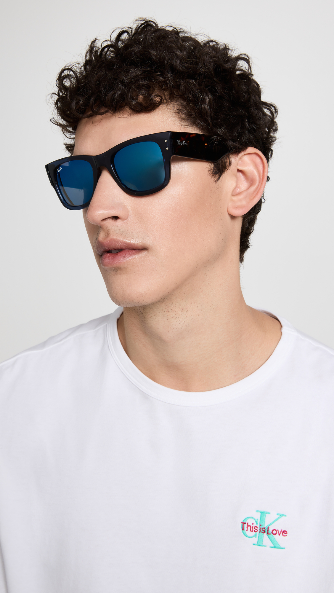 Mega Wayfarer Sunglasses