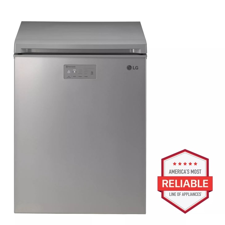 LG Kimchi/Specialty Food Refrigerator Chest, Platinum Silver, 4.. ft