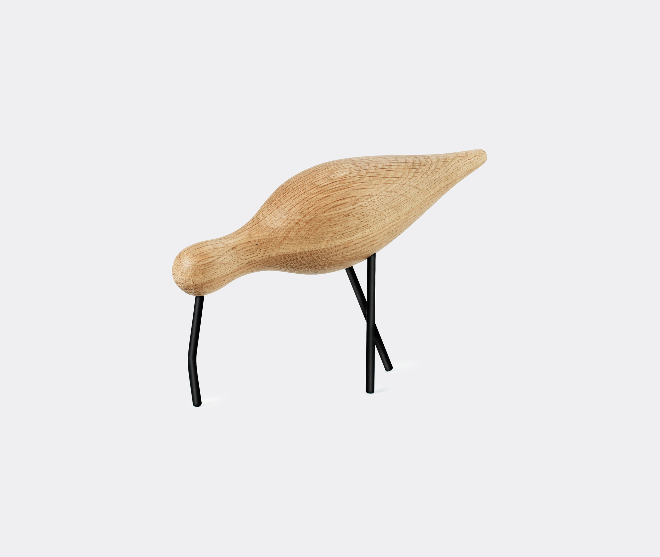 'shorebird', L, Oak