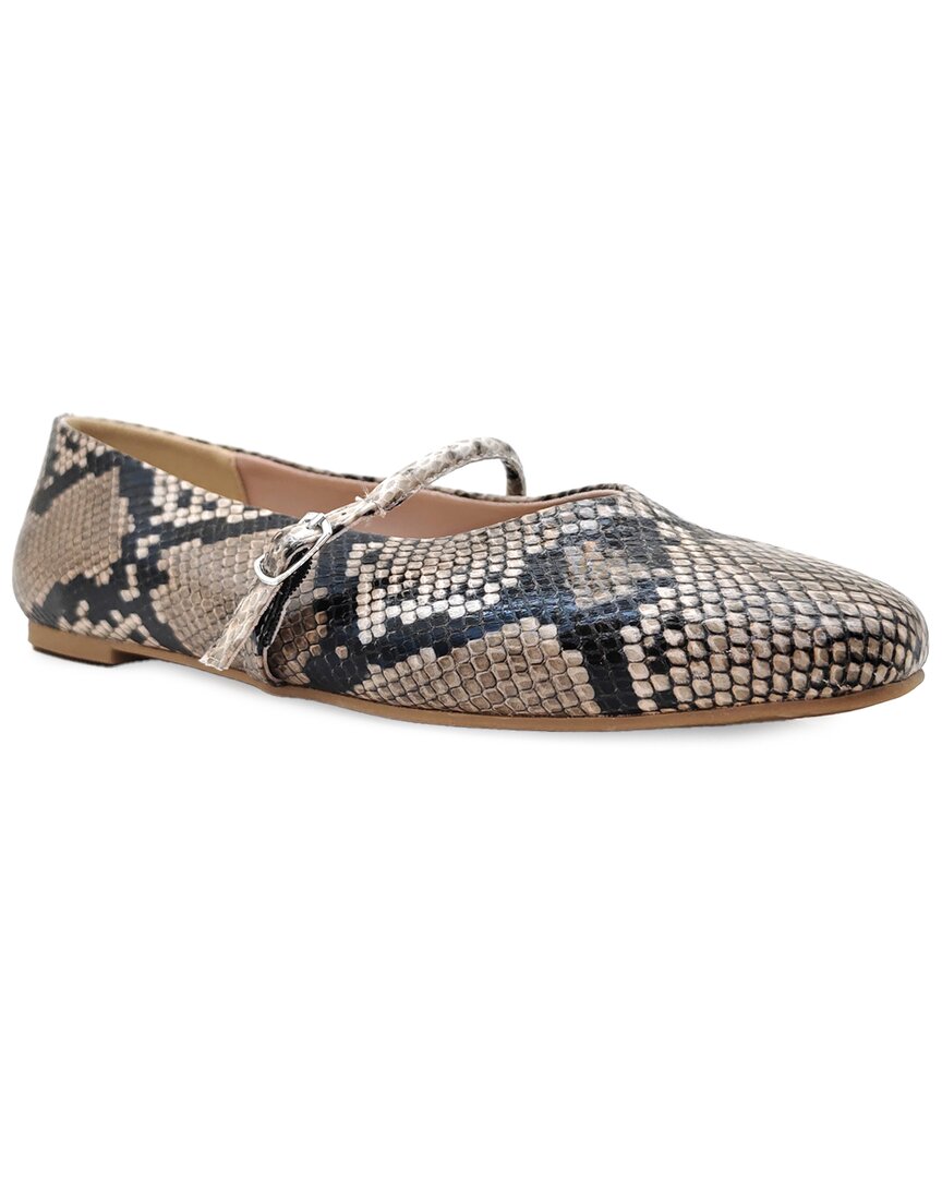 Magnolia Flat