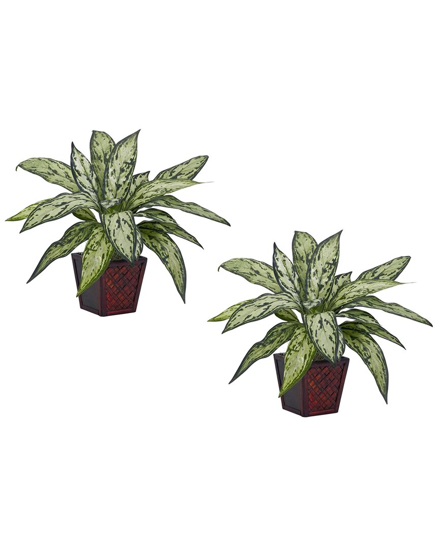 Set of 2 Queen Silk Plants