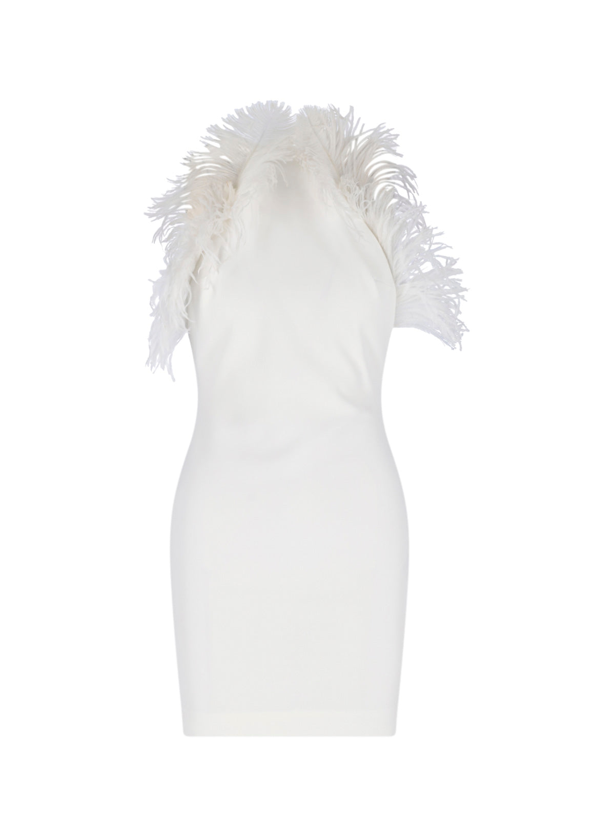Ostrich Feather Embroidered Dress