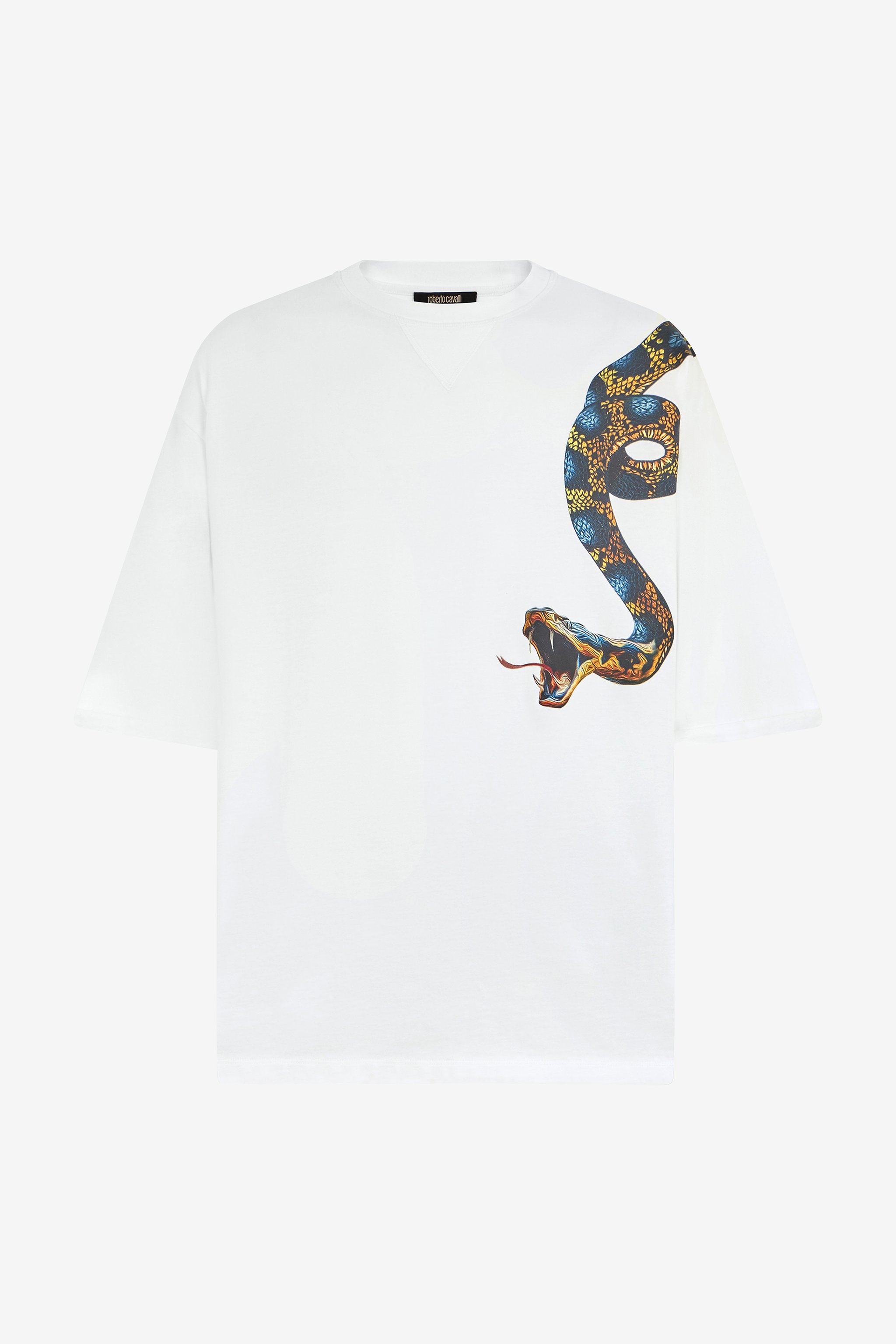 Oversized T-shirt With Snake Print - Male T