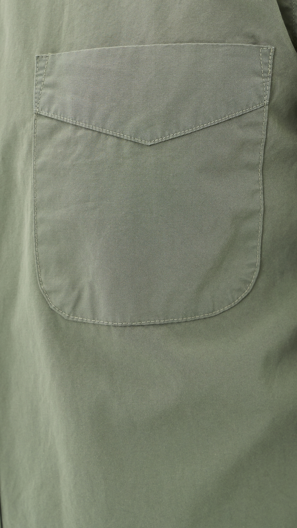 Poplin Standard Button Down Shirt Lichen
