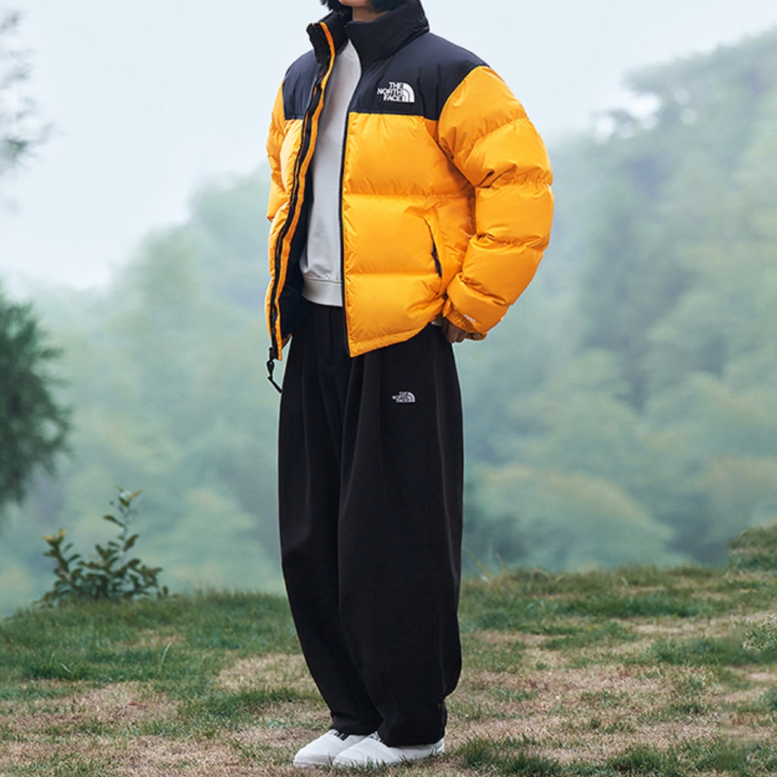 1996 Nuptse Jacket 700