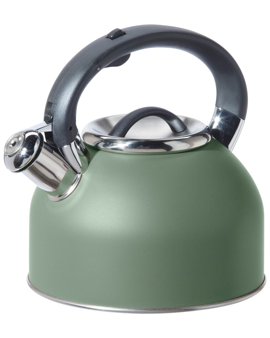Stainless Steel 1.9L Whistling Tea Kettle