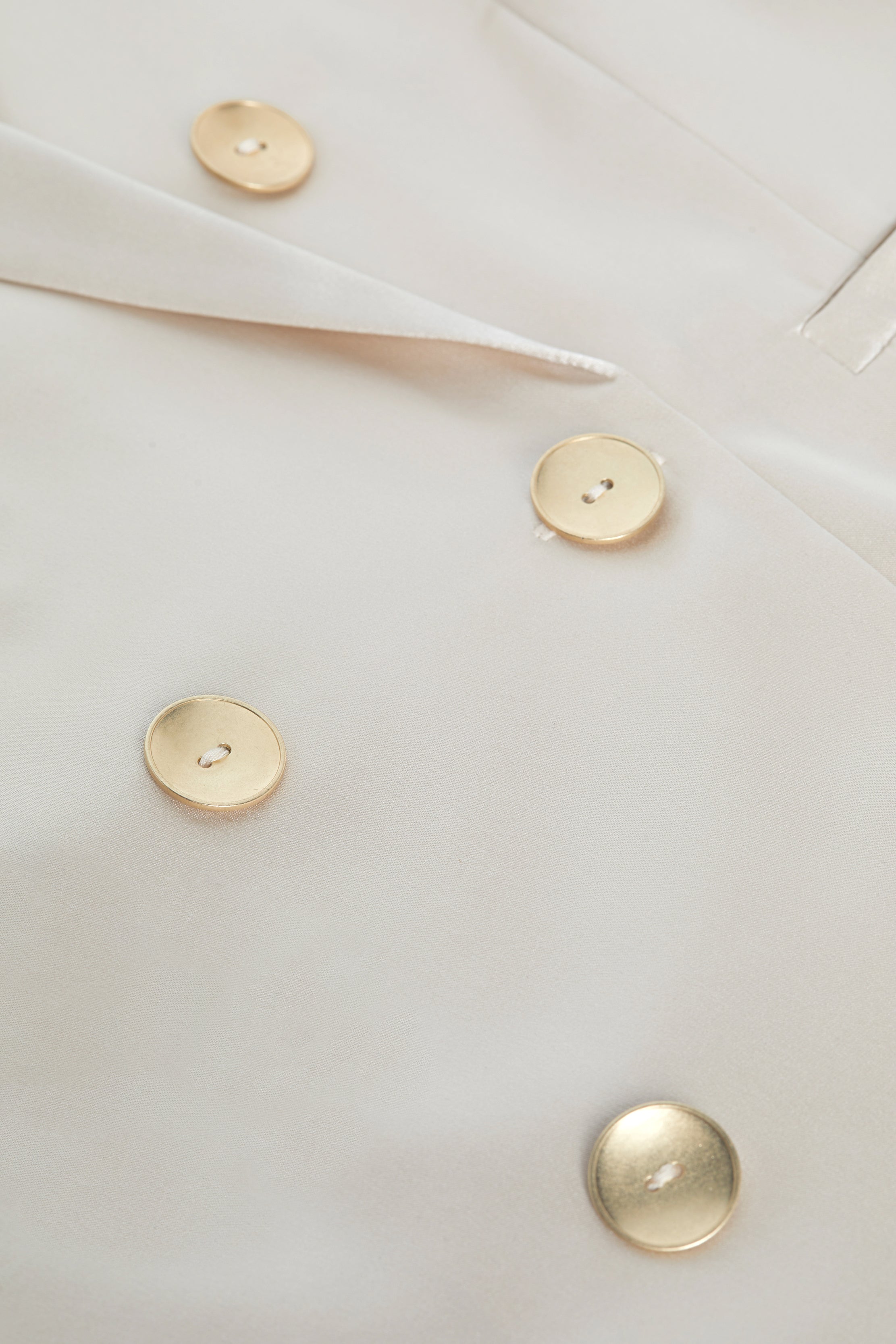Colin Silk Blazer In Champagne