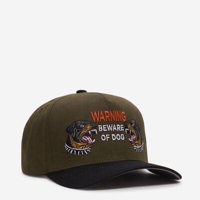 Beware Of Rott 2 Tone Twill Trucker Hat in Green | 1005243