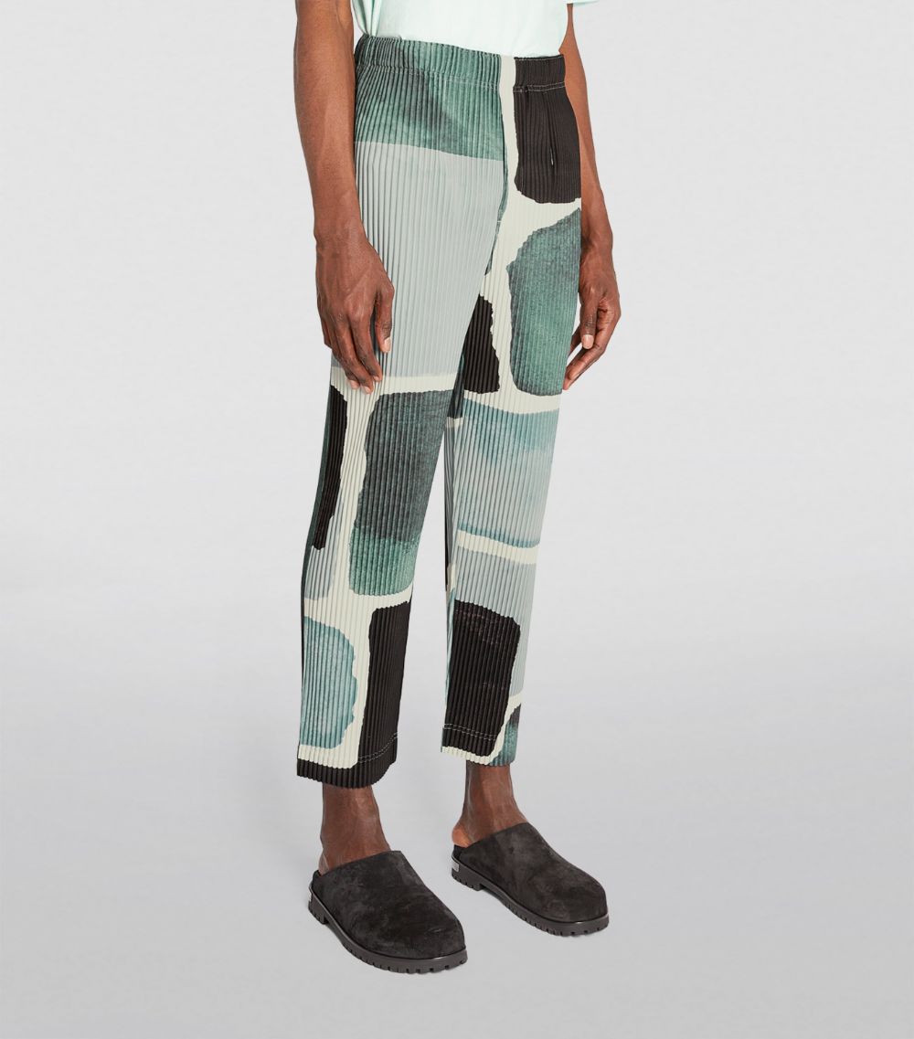 Landscape Print Pleated Trousers