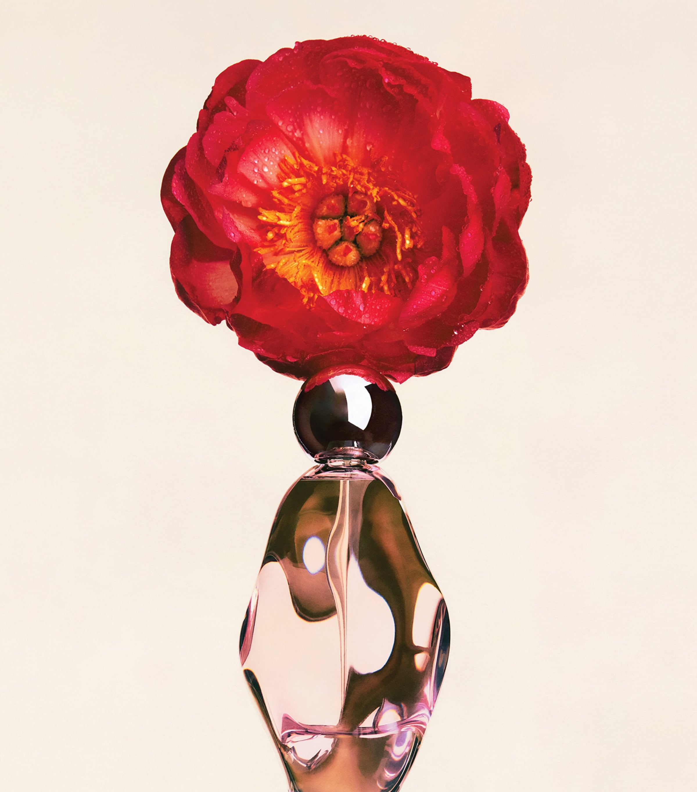 Cosmic by Kylie Jenner Eau De Parfum