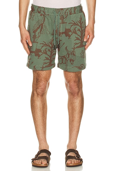 OAS Porto Shorts in Green - Green. L also in M, S, XL/1X