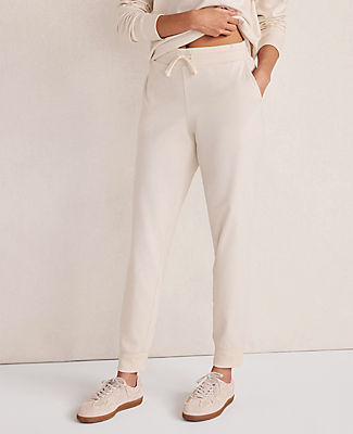 Ann Taylor Haven Well Within Botanical-Dyed Organic Cotton Interlock Joggers