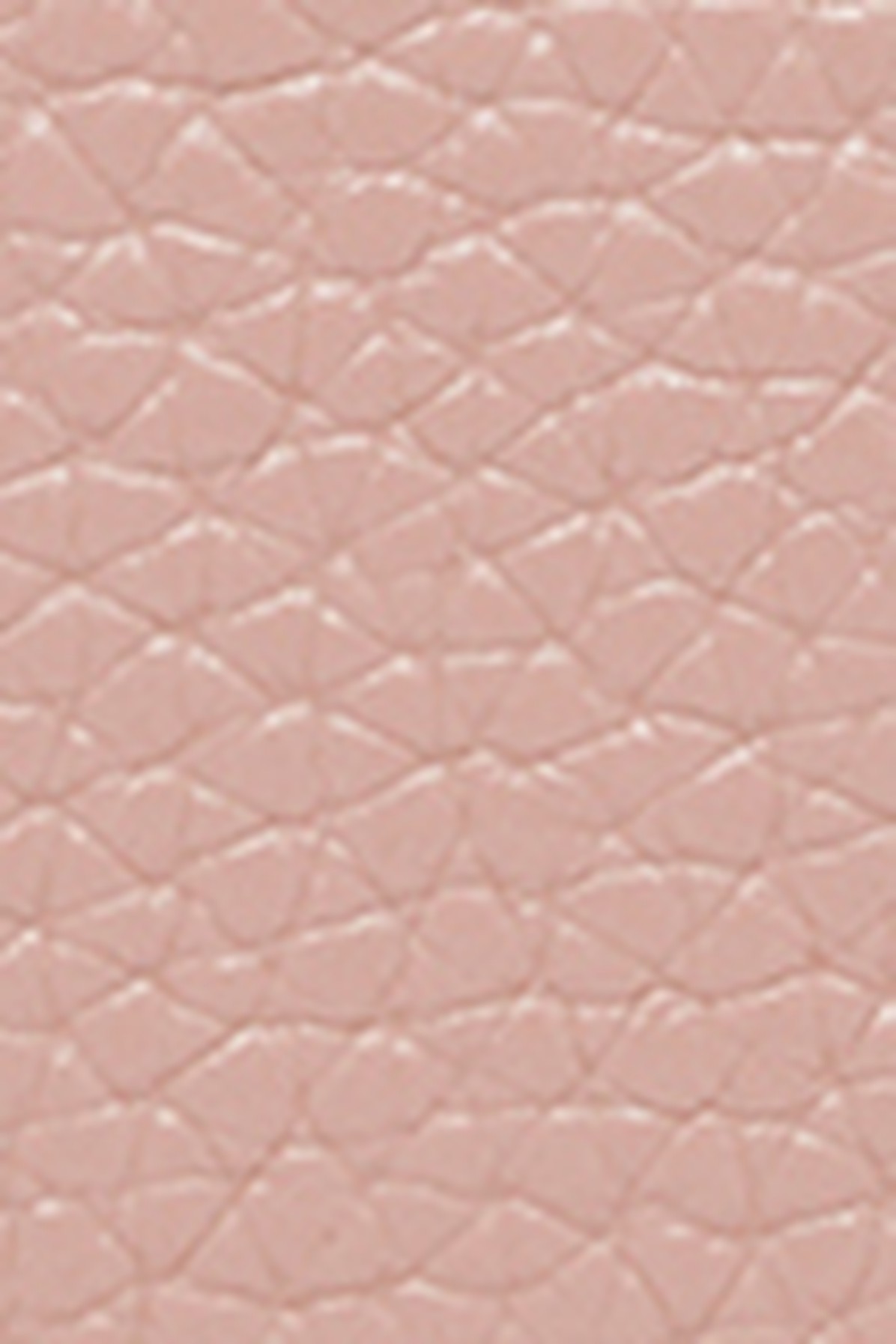 The Mini Tote Bag
