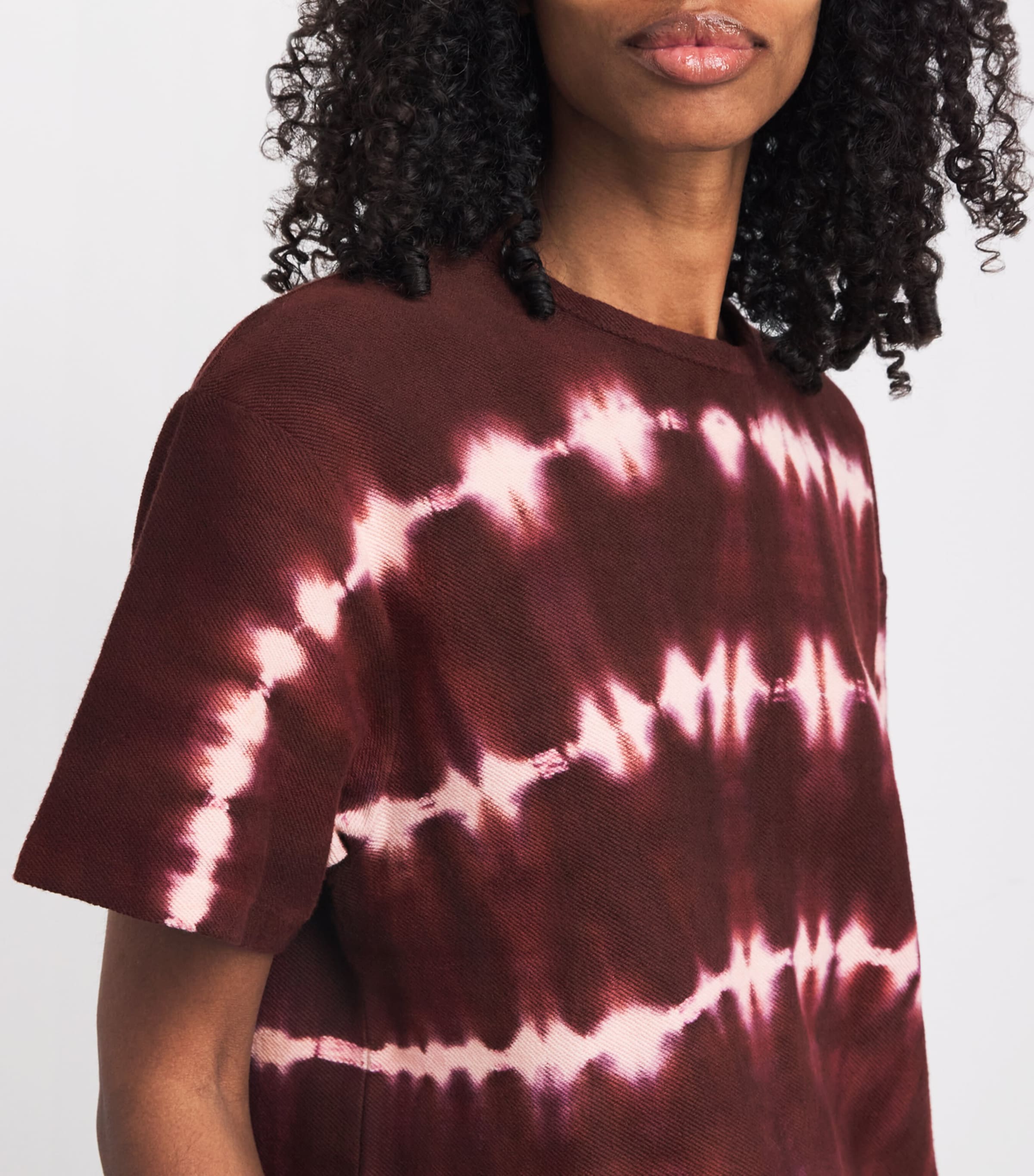 Hayley Menzies Cropped Stevie T-Shirt