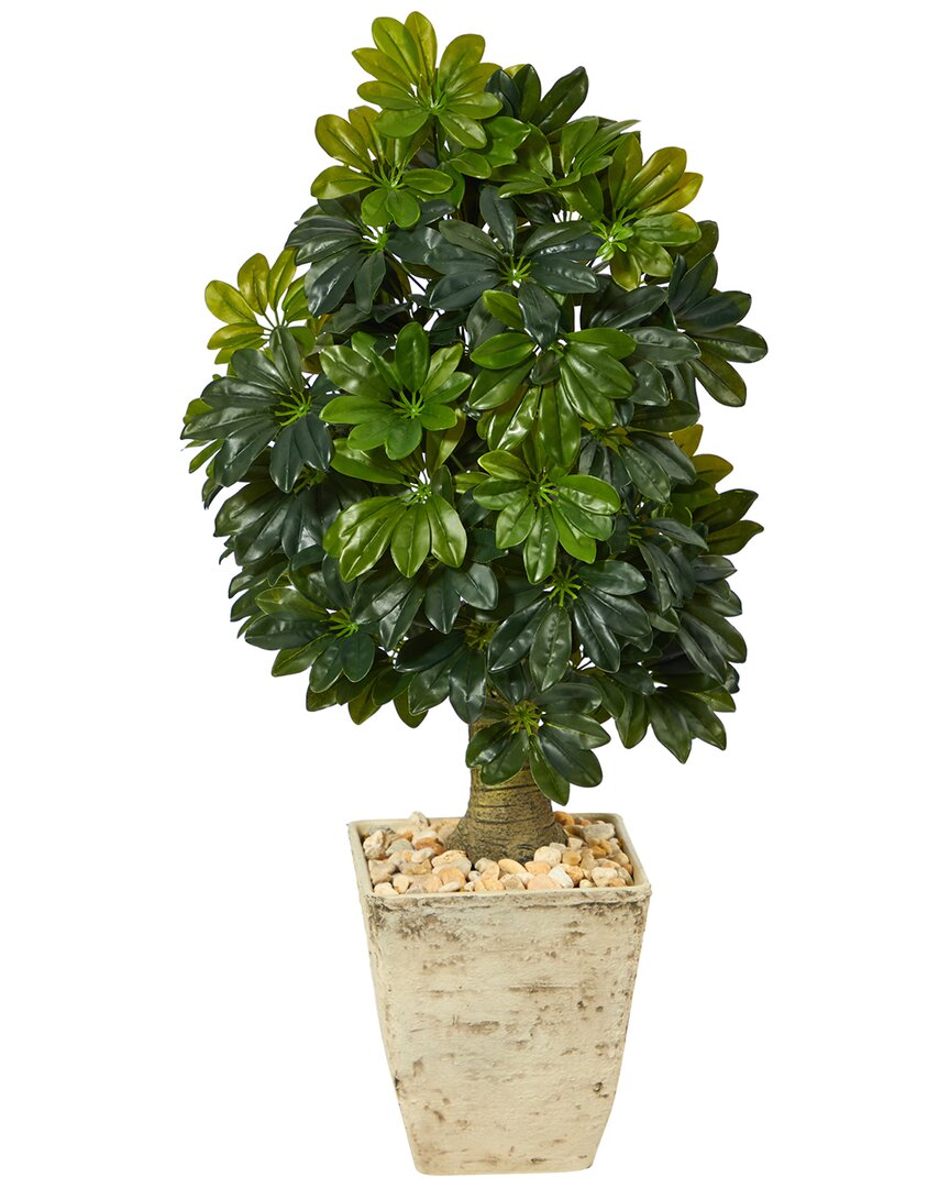 3.5ft Schefflera Artificial Tree in Country White Planter (Real  Touch)