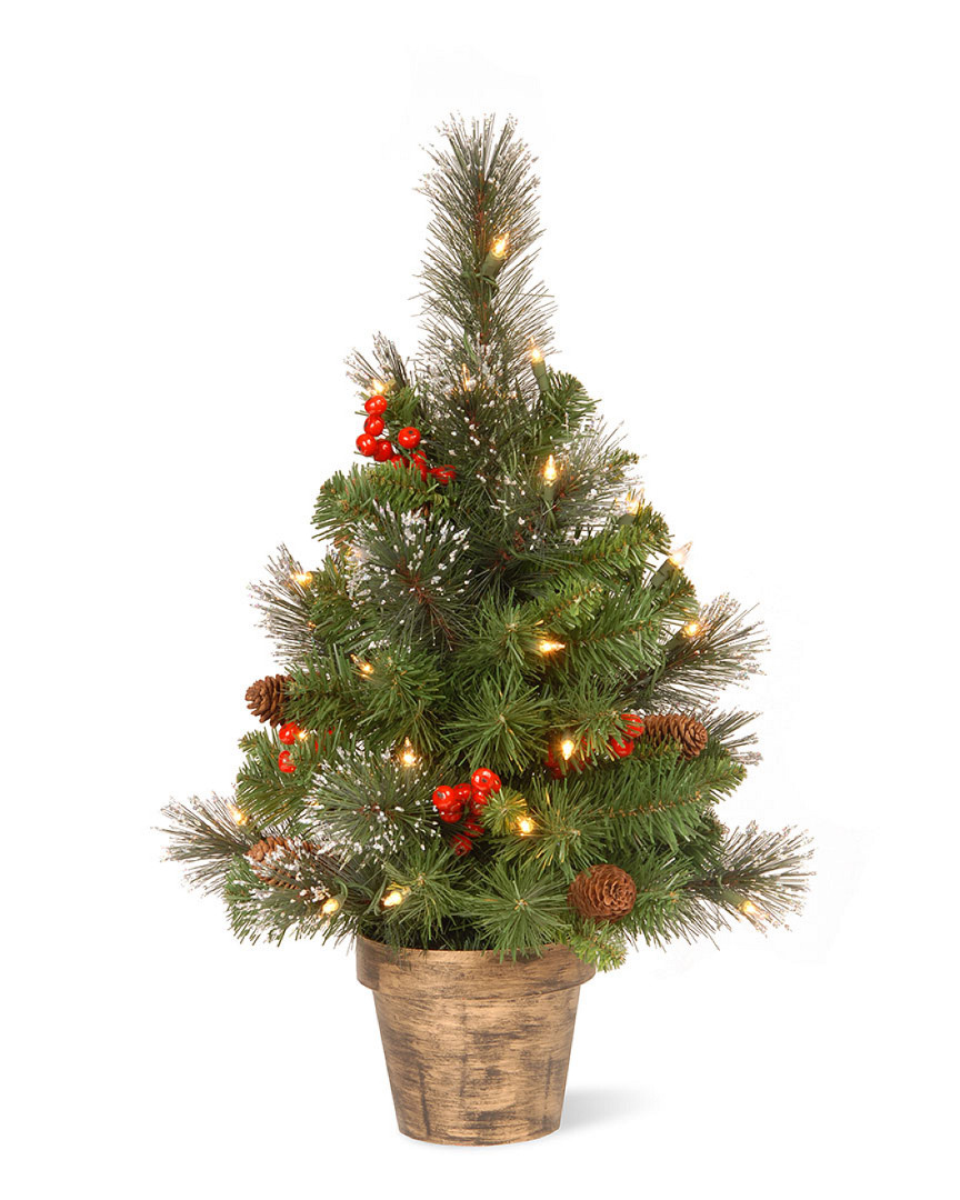 2ft Crestwood Spruce Small Tree with Silver Bristle, Berries, Cones and Clear Lights