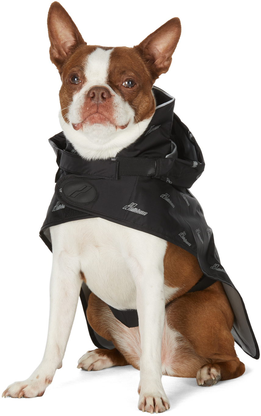 SSENSE Exclusive Black & Silver Logo Windbreaker Jacket