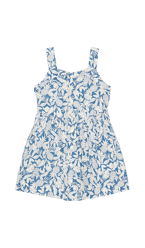Polo Ralph Lauren Sleeveless Cotton Pineapple Printed Day Dress in Blue Pineapple Breeze Print. 3 also