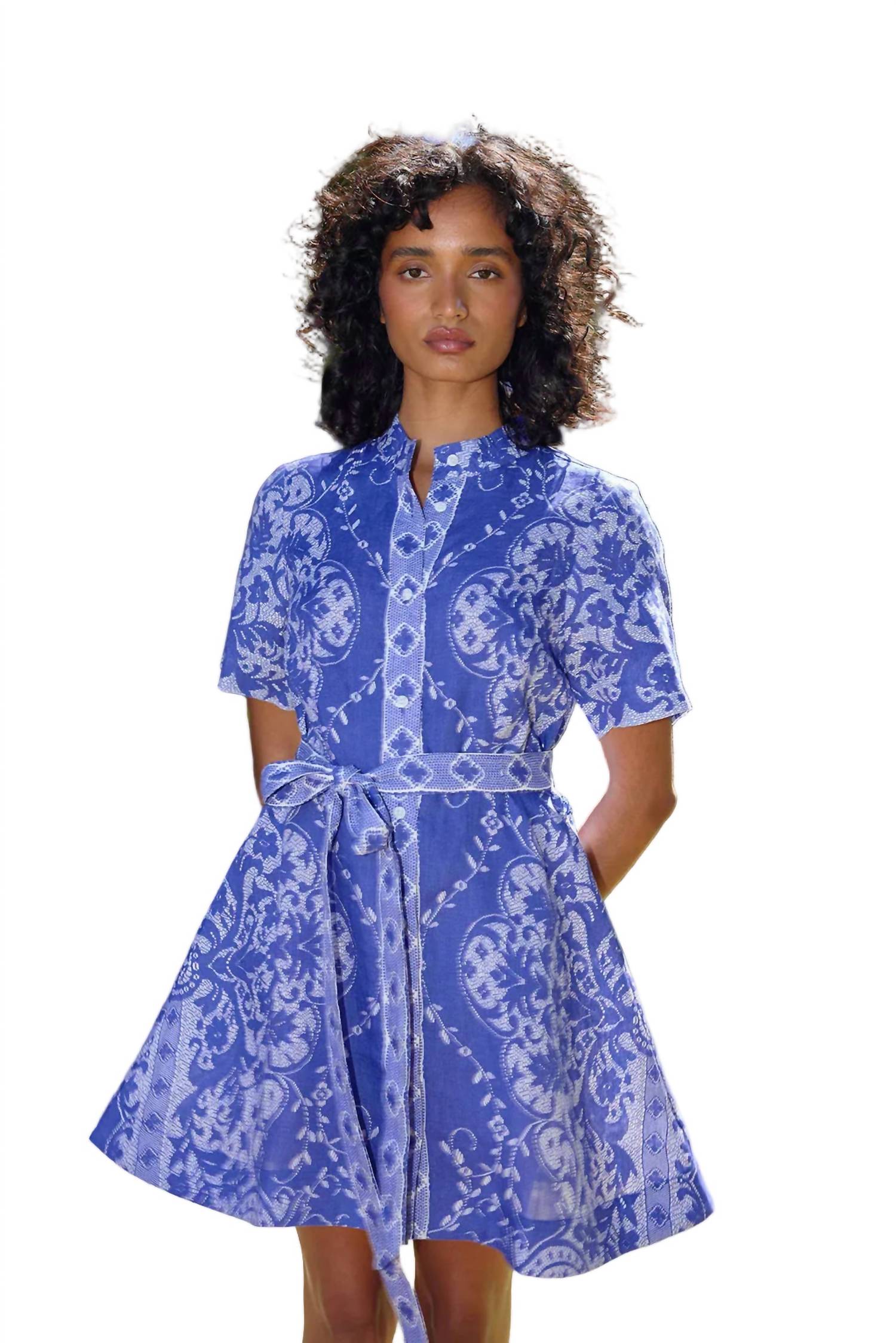 Nami Mini Dress In Antique Royal