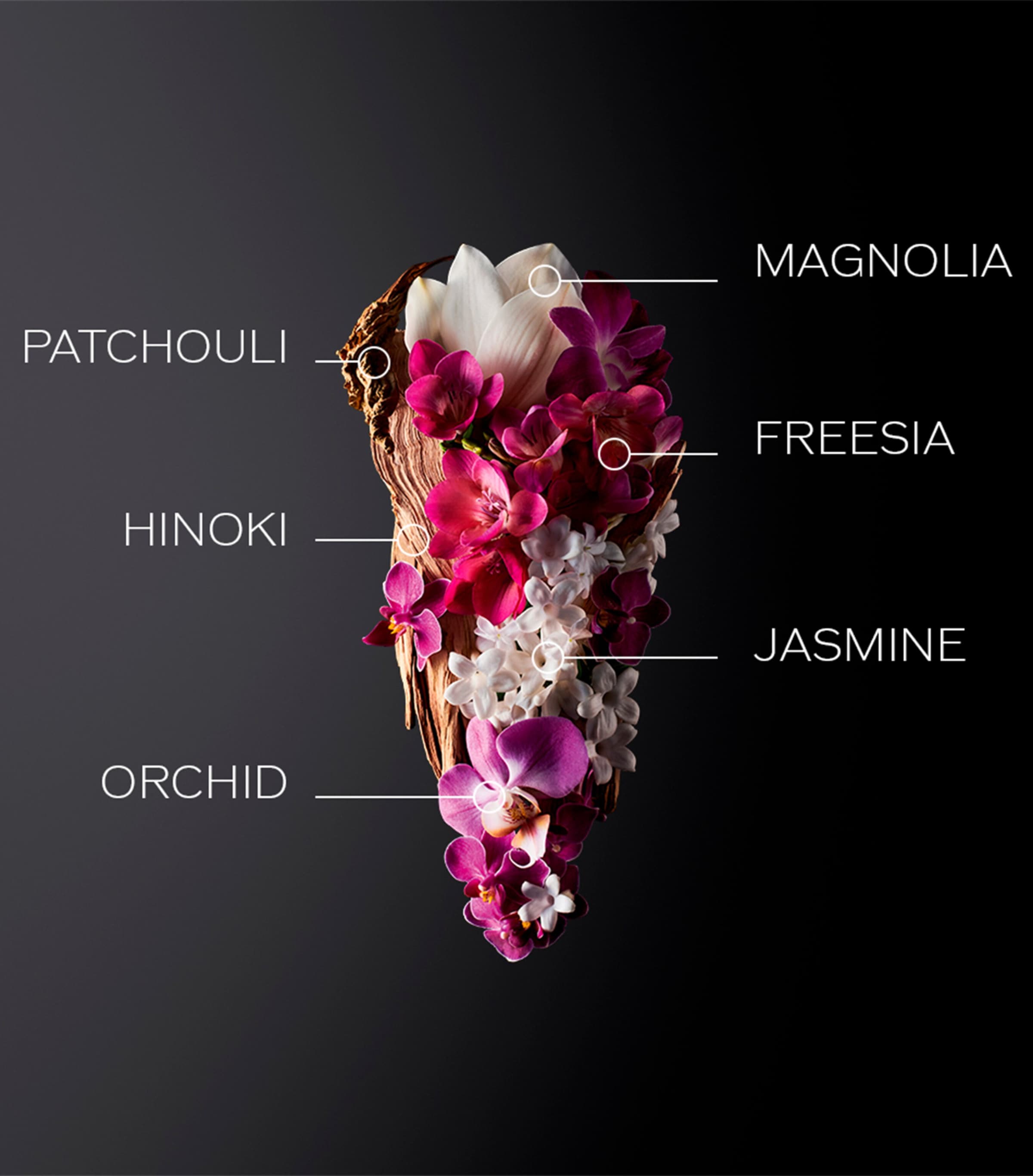 Ginza Eau de Parfum