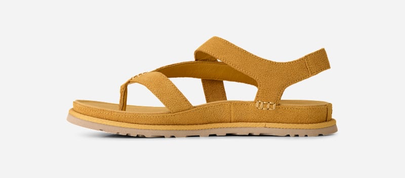 ® Women's GoldenGaze Toe Post Suede Sandals in Wheat Field