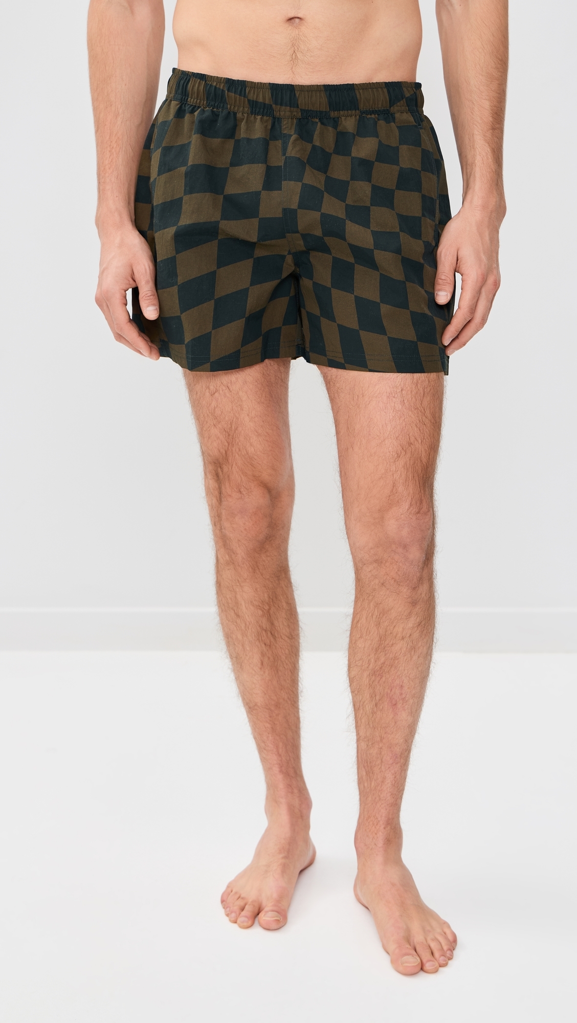 Printed Sebastian Swim Trunks