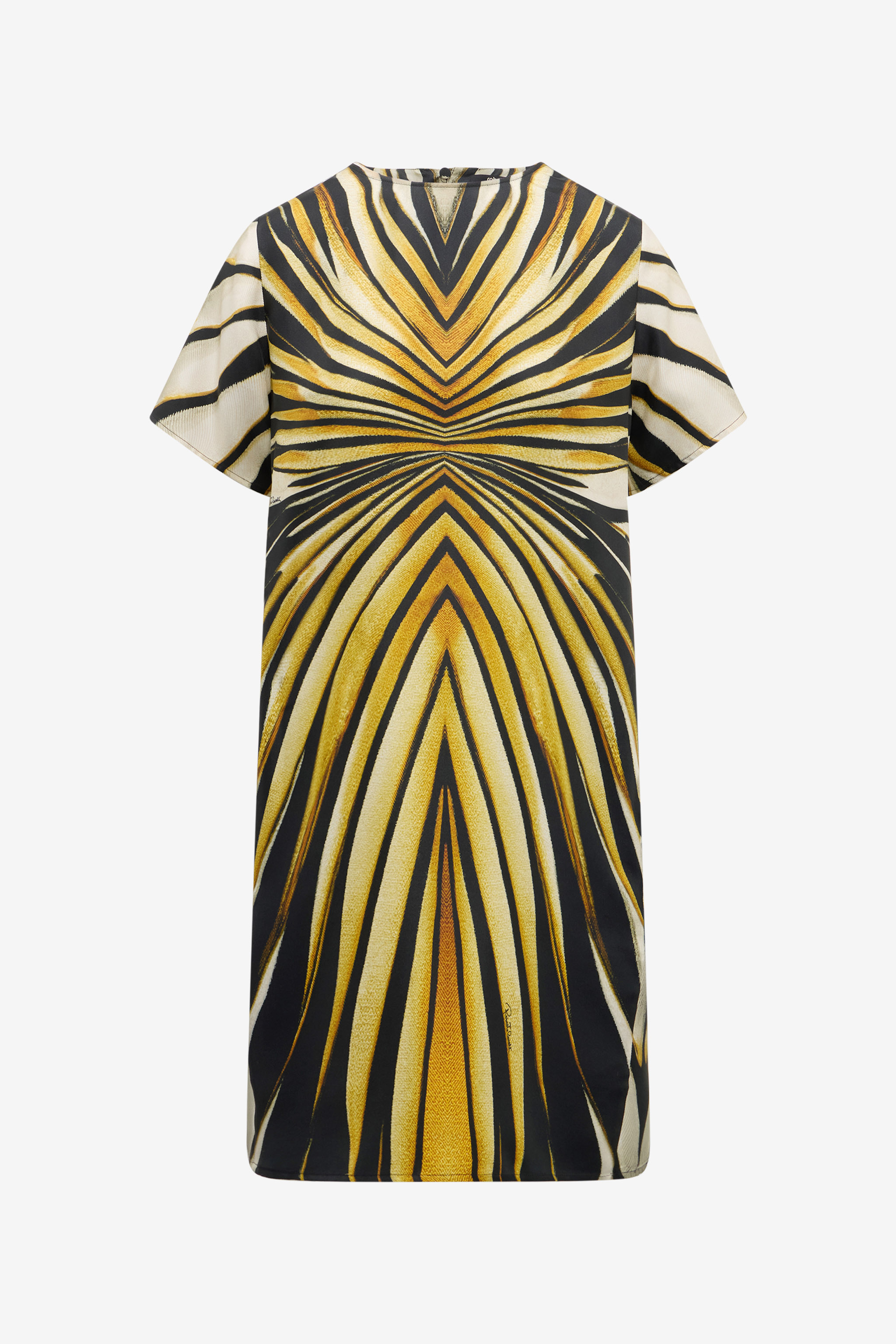 Ray Of Gold Print Silk Mini Dress