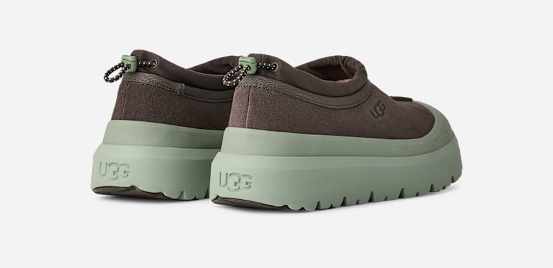 ® Men's Tasman Weather Hybrid Suede Shoes in Dense Smoke/Artichoke